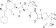 6-APA Oxacillin