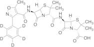 6-APA (Oxacillin-d5)