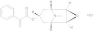 Aposcopolamine Hydrochloride Salt