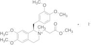 1-Ethylveratrole-6,7-dimethoxy-1,2,3,4-tetrahydroisoquinoline N-Methyl Propanoate Iodide