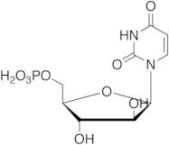 1-Beta-D-Arabinofuranosyluracil 5'-Monophosphate