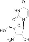 3'-Amino-3'-deoxyuridine