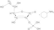 L-Ascorbic Acid 2-(Dihydrogen Phosphate) Cyclohexanamine-13C6