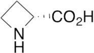 D-Azetidine-2-carboxylic Acid