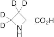 D,L-Azetidine-2-carboxylic Acid-d4