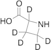 D,L-Azetidine-2-carboxylic Acid-d5