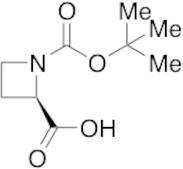 1,2-Azetidinedicarboxylic Acid 1-(1,1-Dimethylethyl) Ester