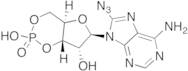 8-Azidoadenosine 3':5'-Cyclic Monophosphate