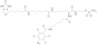 2-{N2-[N6-(4-Azido-2,3,5,6-tetrafluorobenzoyl)-6- aminocaproyl]-N6-(6-biotinamidocaproyl)-L -lysin…