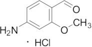 4-Amino-2-methoxy-benzaldehyde Hydrochloride