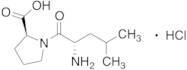 (S)-1-((S)-2-Amino-4-methylpentanoyl)pyrrolidine-2-carboxylic Acid Hydrochloride