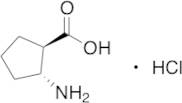 (1R,2R)-2-Aminocyclopentanecarboxylic acid hydrochloride