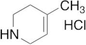 4-Methyl-1,2,3,6-tetrahydropyridine Hydrochloride