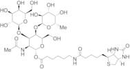 1-(N-Biotinylcaprate)-Lewis A Trisaccharide
