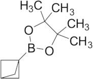 2-{Bicyclo[1.1.1]pentan-1-yl}-4,4,5,5-tetramethyl-1,3,2-dioxaborolane