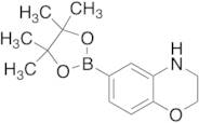 3,4-Dihydro-6-(4,4,5,5-tetramethyl-1,3,2-dioxaborolan-2-yl)-2H-1,4-benzoxazine