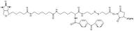 2-{N2-[NAlpha-Benzoylbenzoicamido-N6-6-biotinamidocaproyl]lysinylamido}ethyl-2’-(N-sulfosuccinim...