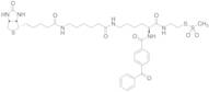 2-[Nα-Benzoylbenzoicamido-N6-(6-biotinamidocaproyl)-L-lysinylamido]ethyl Methanethiosulfonate