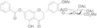 7-Benzoyloxy-hesperetin 3’-O-(2’,3’,4’-Tri-O-acetyl)-b-D-glucuronide Methyl Ester