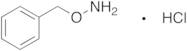 O-Benzylhydroxylamine Hydrochloride