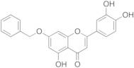 7-O-Benzyl Luteolin