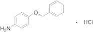 4-(Benzyloxy)aniline Hydrochloride
