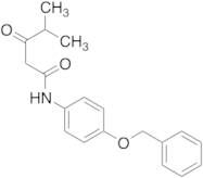 N-4-Benzyloxyphenyl Isobutyrylacetamide