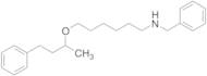 N-Benzyl-6-((4-phenylbutan-2-yl)oxy)hexan-1-amine