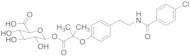 Bezafibrate 1-O-beta-Glucuronide