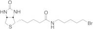 Biotin 5-Bromopentylamide