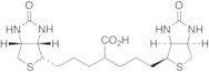D-Biotin Dimer Acid