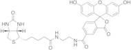 Biotin-4-Fluorescein