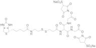 5-[2-Biotinylamidoethyl]-dithiopropionamido]-3,7-diaza-4,6-diketononanoic Acid Bis-N-sulfosuccin...