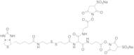 6-[2-Biotinylamidoethyl]-dithiopropionamido]-4,8-diaza-5,7-diketoundecanoic Acid Bis-N-sulfosucc...