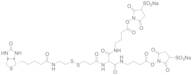 6-[2-Biotinylamidoethyl]-dithiopropionamido]-5,9-diaza-6,8-diketotridecanoic Acid Bis-N-sulfosuc...