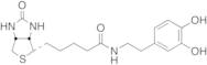 N-Biotinyl Dopamine