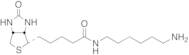 N-Biotinyl-1,6-hexanediamine