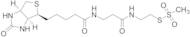 N-Biotinyl Propionylaminoethyl Methanethiosulfate