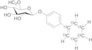 4-Biphenylyl-13C6 Glucuronide