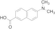 6-(dimethylamino)naphthalene-2-carboxylic Acid