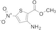 3-Amino-5-nitro-thiophene-2-carboxylic Acid Methyl Ester