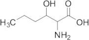 2-Amino-3-hydroxyhexanoic Acid