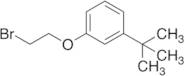 1-(2-Bromoethoxy)-3-tert-butylbenzene