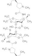 Bis-clindamycinyl-(2,2-dimethyltetrahydro-3aH-[1,3]dioxolo[4,5-c]pyran) Phosphate
