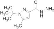 1-(tert-Butyl)-5-methyl-1H-pyrazole-3-carbohydrazide