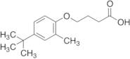 4-(4-tert-Butyl-2-methylphenoxy)butanoic Acid
