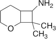 8,8-dimethyl-2-oxabicyclo[4.2.0]octan-7-amine hydrochloride