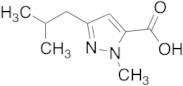 3-Isobutyl-1-methyl-1H-pyrazole-5-carboxylic Acid