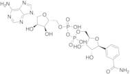 Benzamide Adenine Dinucleotide