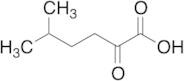5-Methyl-2-oxohexanoic Acid